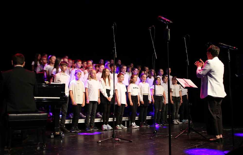 Sommerkonzert Gymnasium Remchingen 05