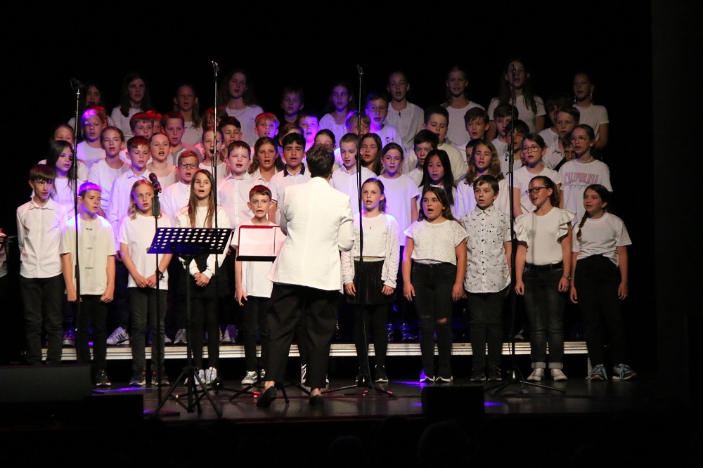 Sommerkonzert Gymnasium Remchingen 06