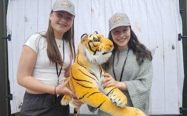Tiger_Weltspieletag_original_copy_2