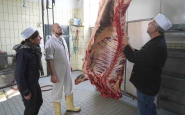 2025_11_Ethik_Schlachterei_Foto_original_copy_2