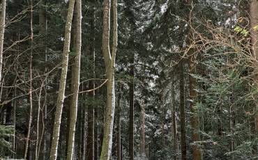 20251120_092628_original_copy_1