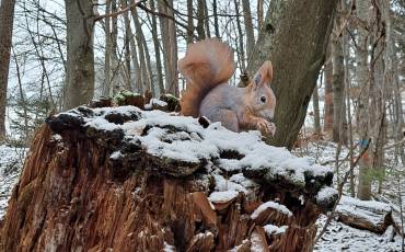 20251120_093854_original